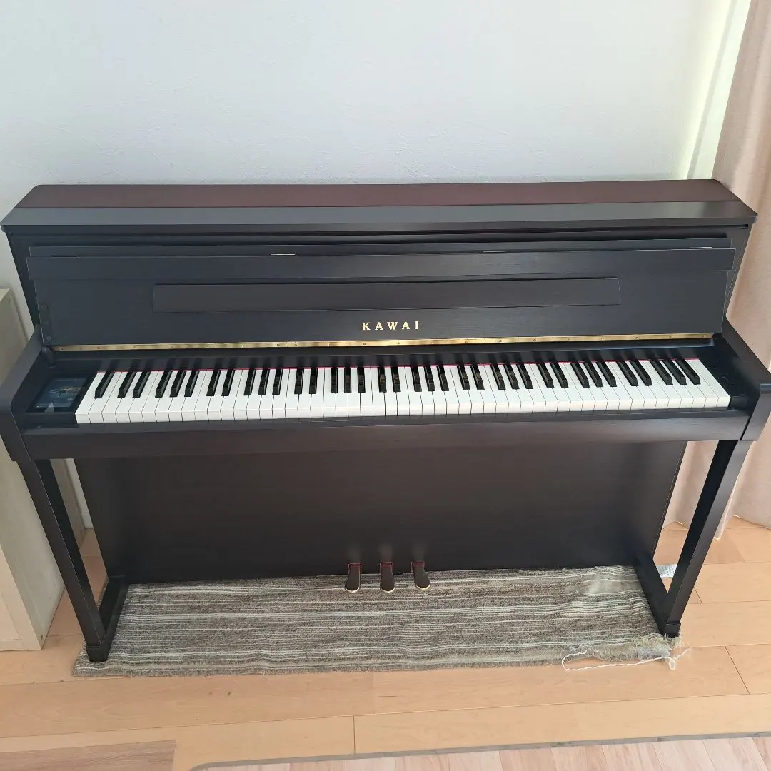 2026年最新】kawai ca99の人気アイテム - メルカリ