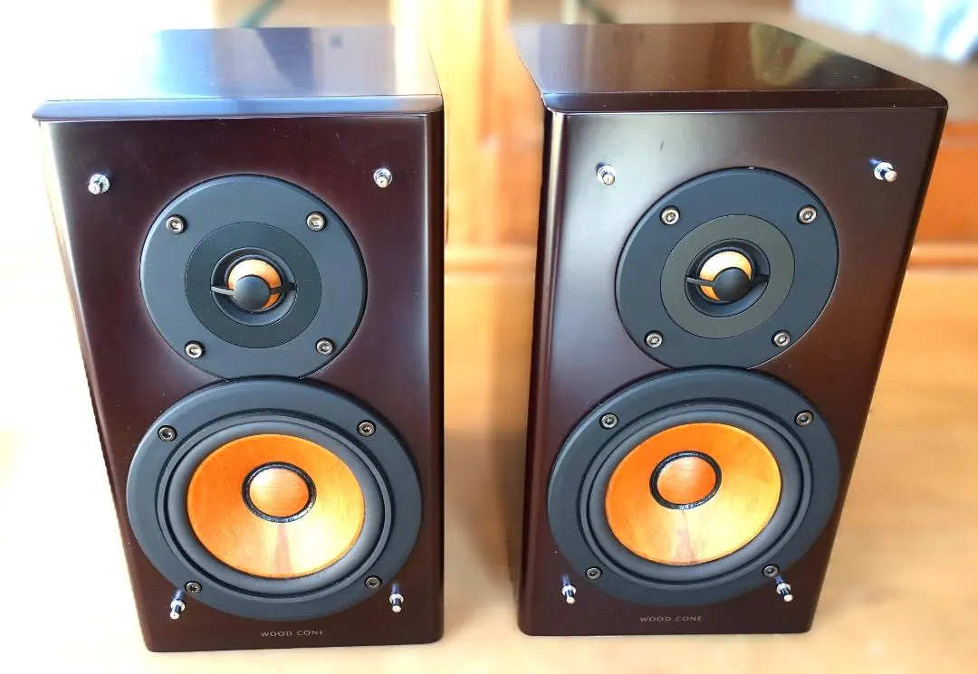 2026年最新】Victor SP-EXARの人気アイテム - メルカリ