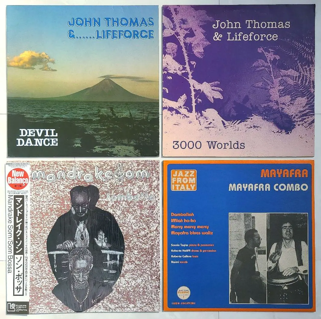 2026年最新】ムジカ ロコムンドの人気アイテム - メルカリ