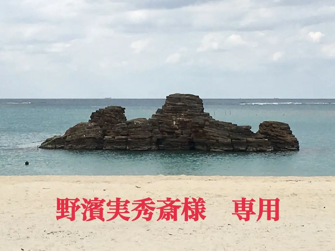 2026年最新】オオイチモンジの人気アイテム - メルカリ