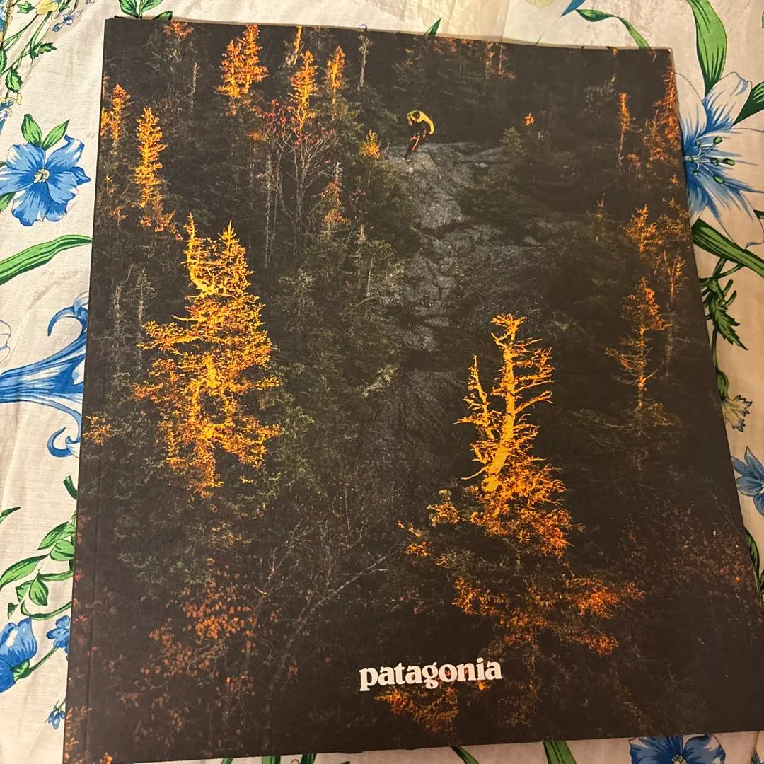 2026年最新】パタゴニア カタログ 1996の人気アイテム - メルカリ