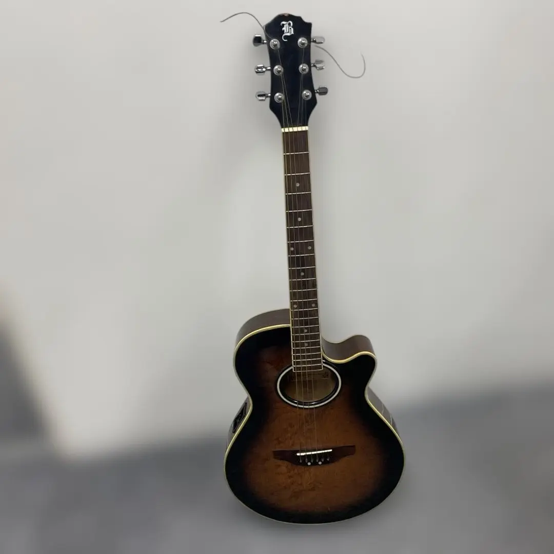 2026年最新】BlueRidge ギターの人気アイテム - メルカリ