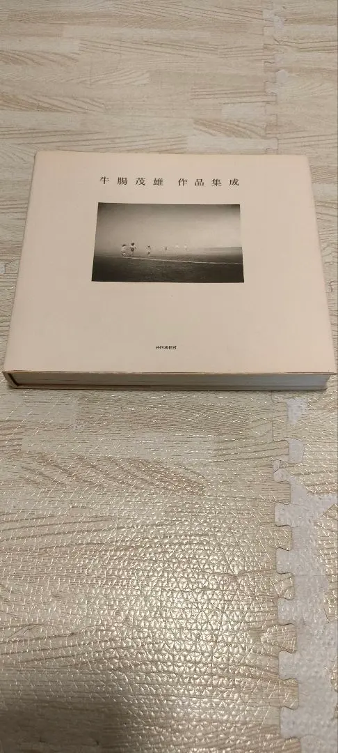 2026年最新】牛腸茂雄の人気アイテム - メルカリ