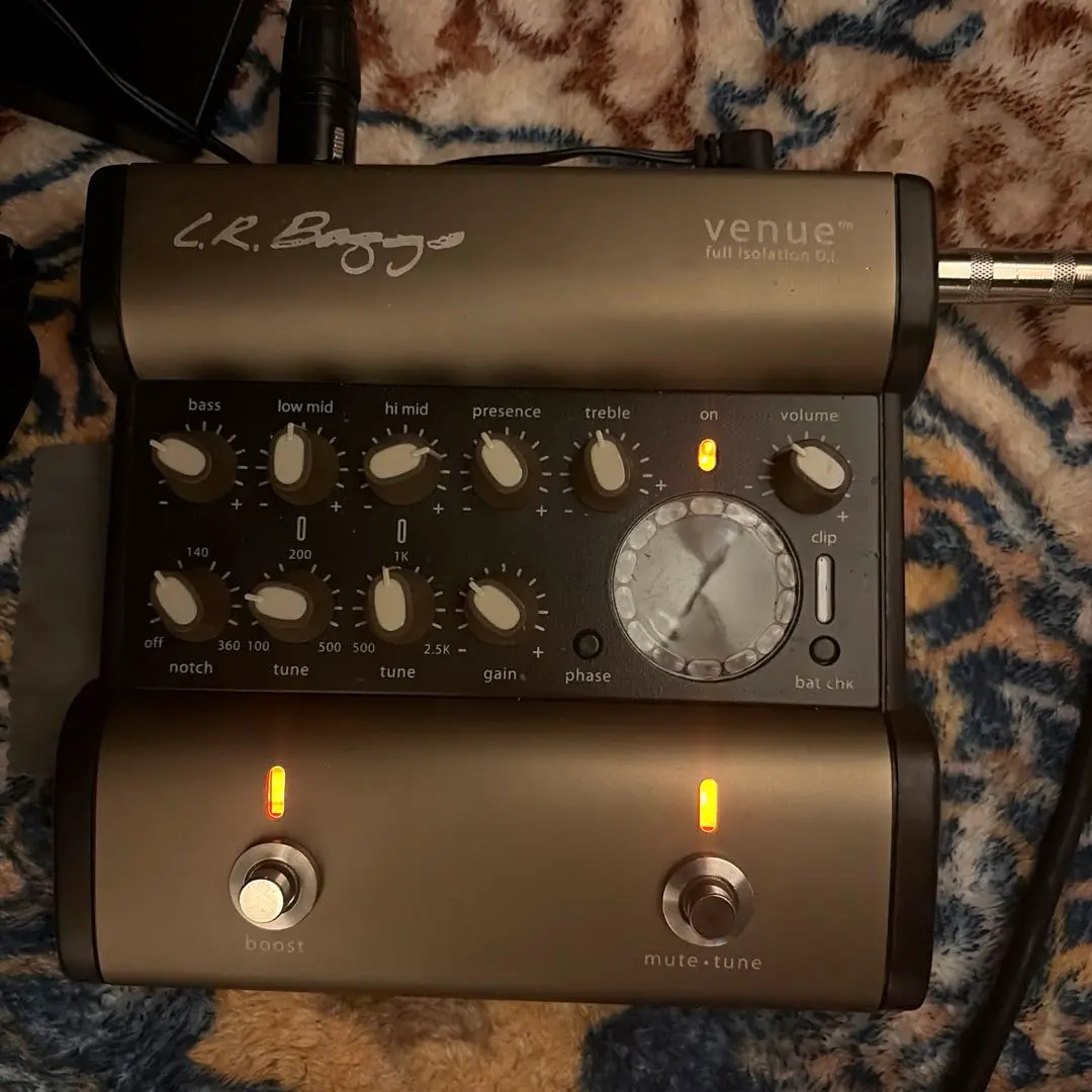2026年最新】L.R.Baggs Venue DIの人気アイテム - メルカリ
