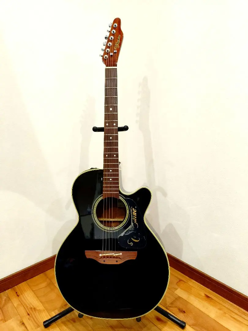 2026年最新】タカミネ長渕剛の人気アイテム - メルカリ