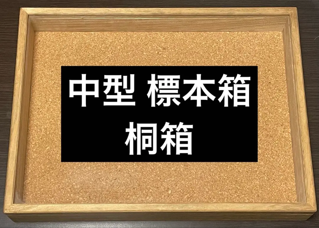 2026年最新】標本箱 ドイツの人気アイテム - メルカリ