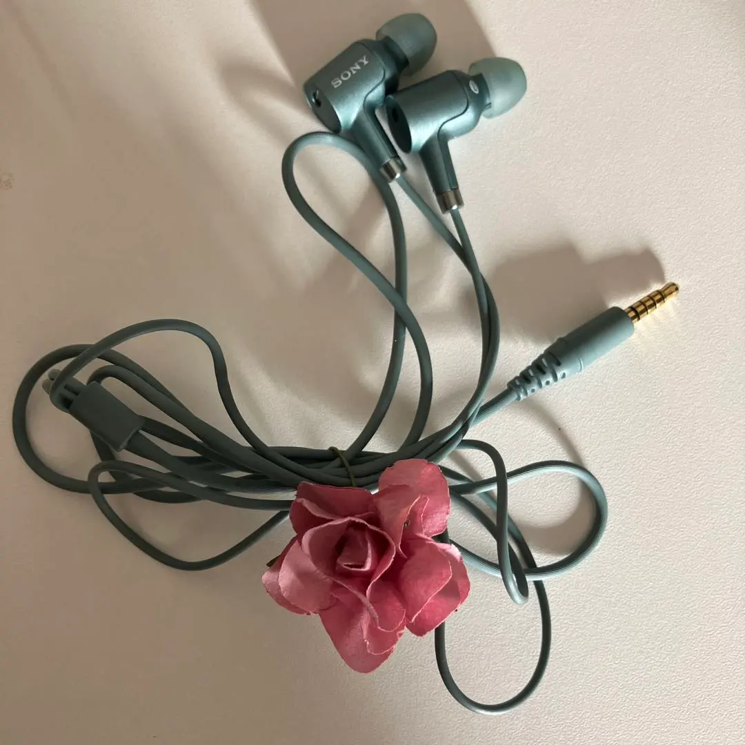 2026年最新】SONY ソニー IER-NW500Nの人気アイテム - メルカリ