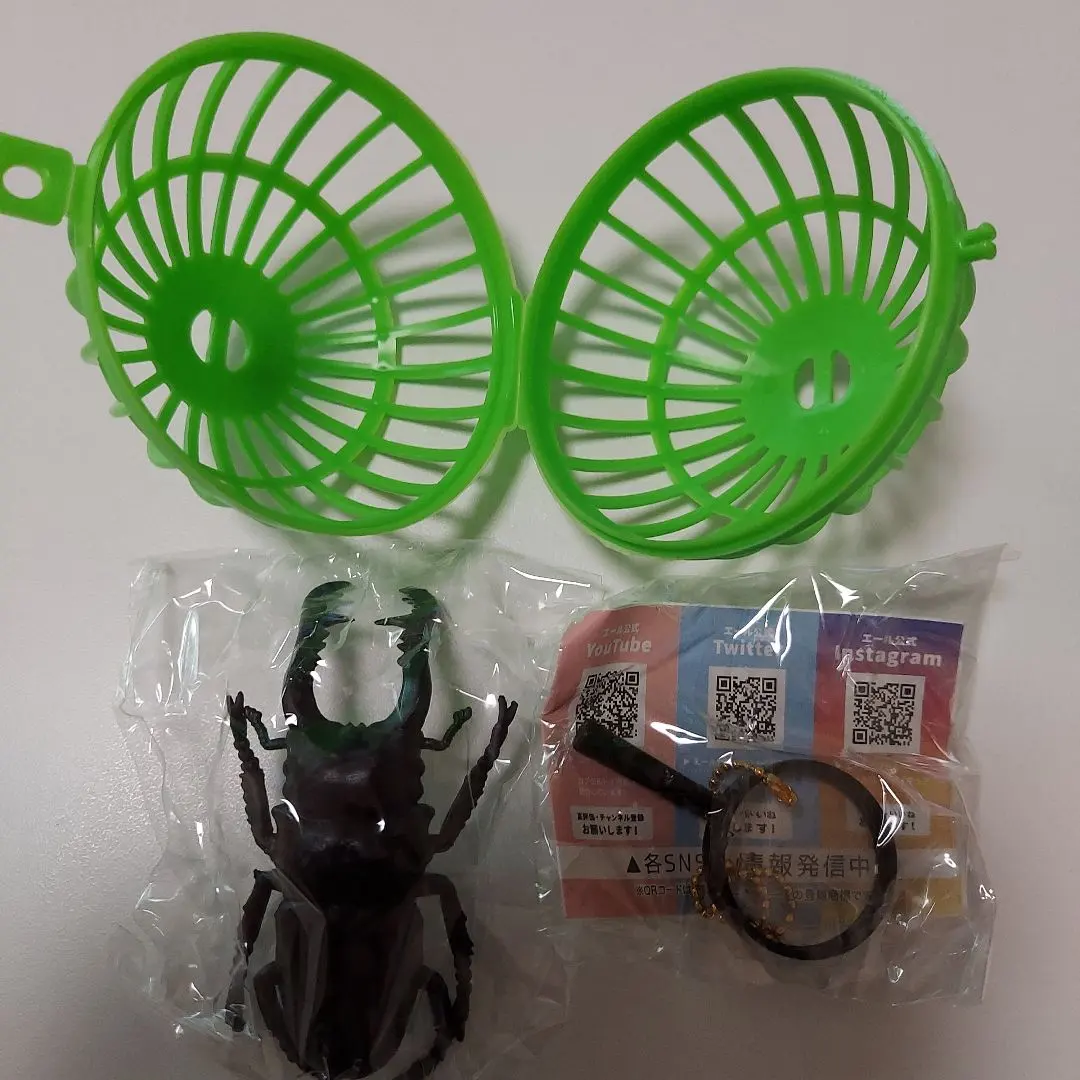 2026年最新】ギラファノコギリクワガタ 標本の人気アイテム - メルカリ