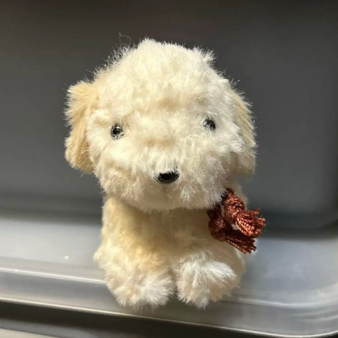 2026年最新】ジョイフルメイト 犬の人気アイテム - メルカリ