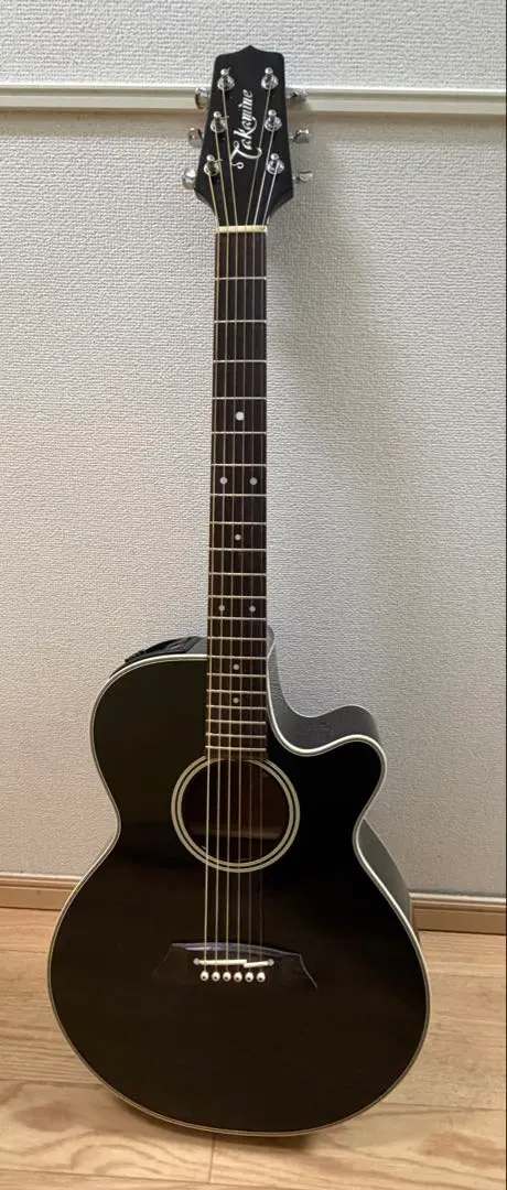 2026年最新】Takamine PT-106の人気アイテム - メルカリ