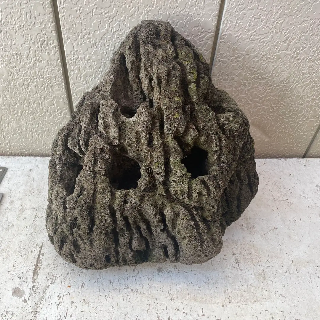 m91505027330_1.jpg?1766791740