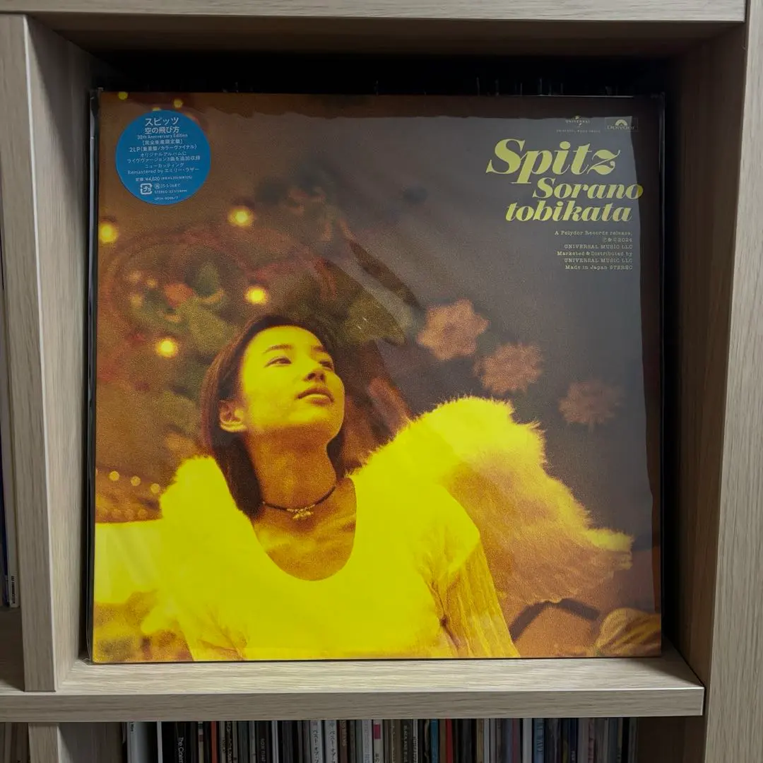 2026年最新】スピッツ 空の飛び方 LPの人気アイテム - メルカリ
