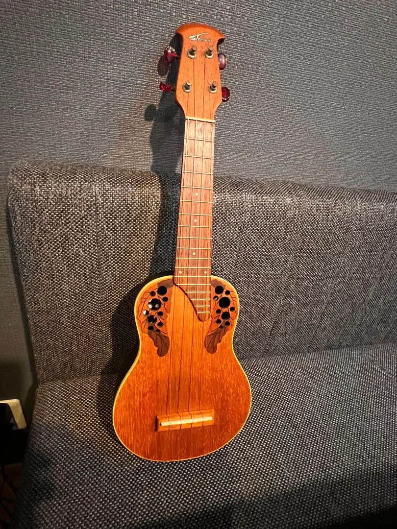 2026年最新】APPLAUSE OVATIONの人気アイテム - メルカリ