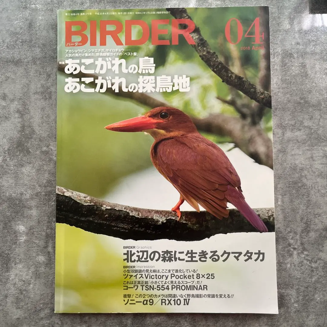 2026年最新】birder バーダーの人気アイテム - メルカリ