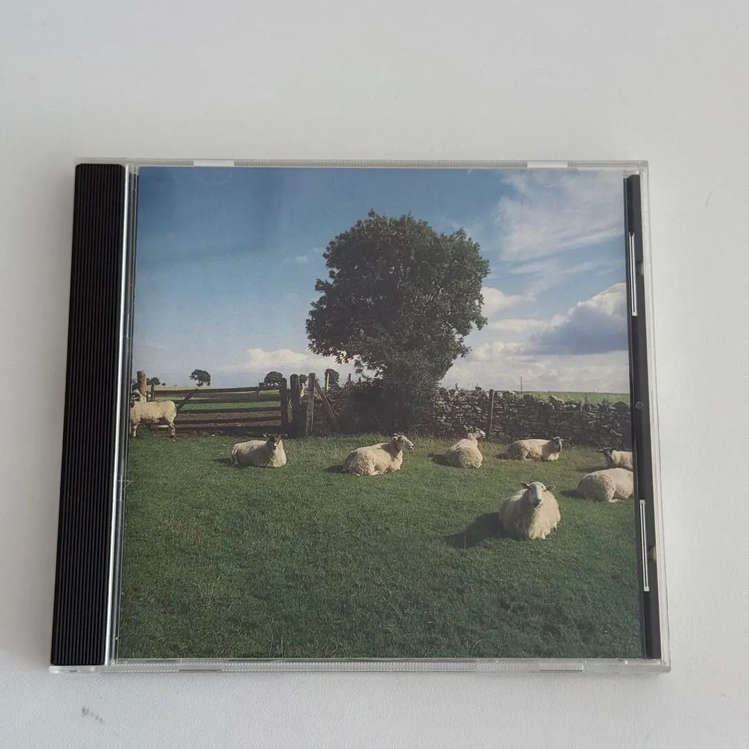 2026年最新】CHILL OUT klfの人気アイテム - メルカリ