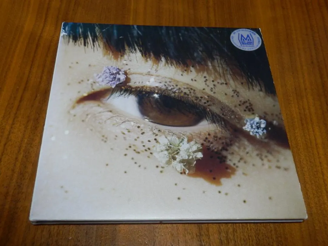 2026年最新】カネコアヤノ レコード 祝祭の人気アイテム - メルカリ