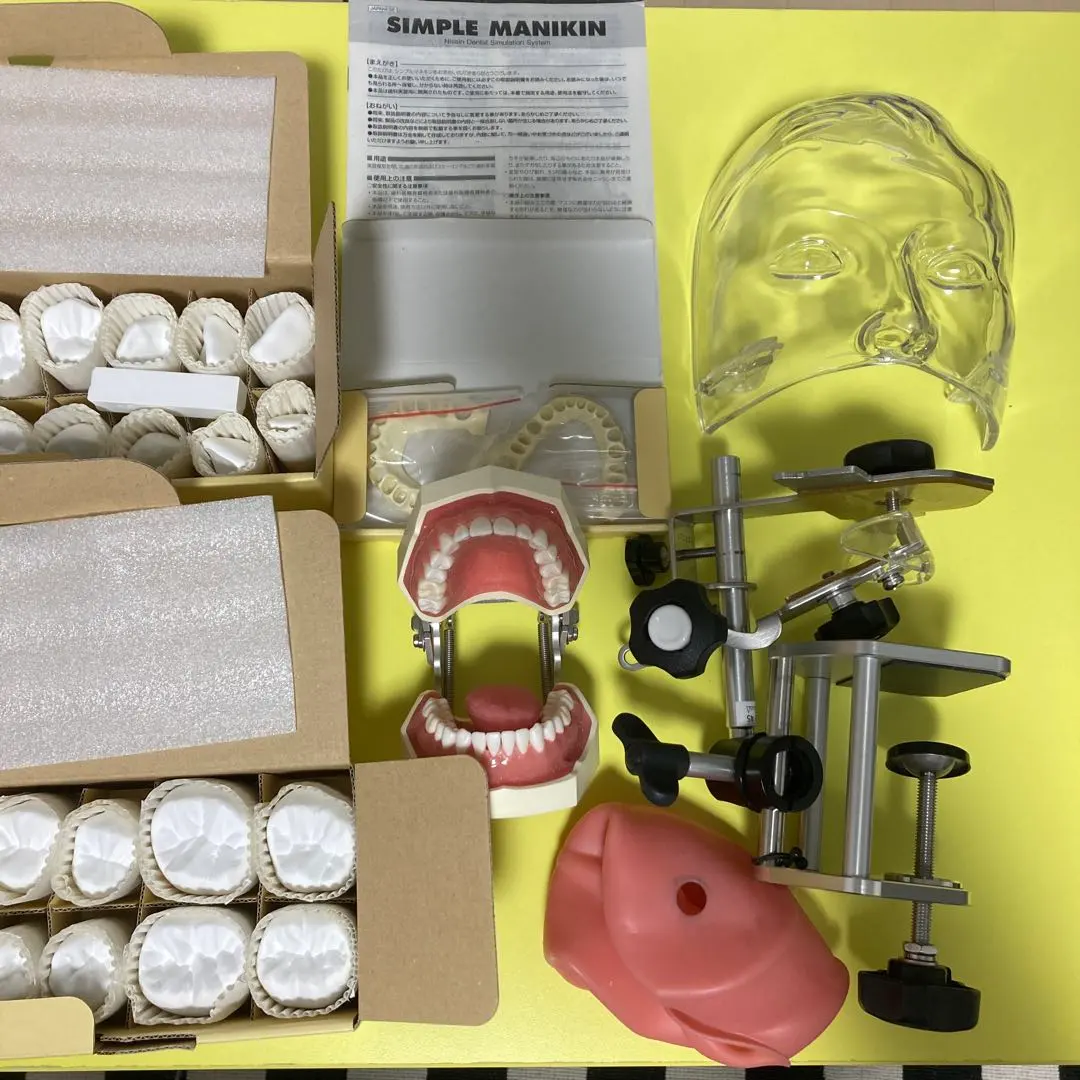 2026年最新】マネキン 歯科の人気アイテム - メルカリ