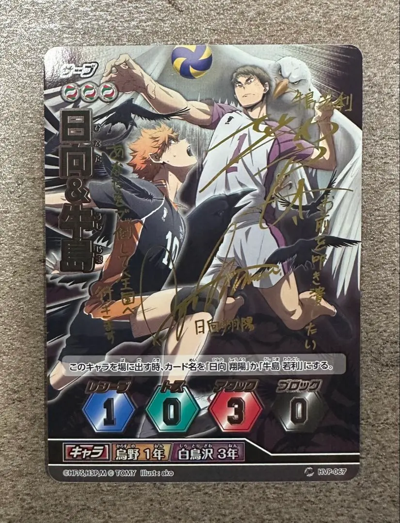 2026年最新】日向翔陽 秘の人気アイテム - メルカリ