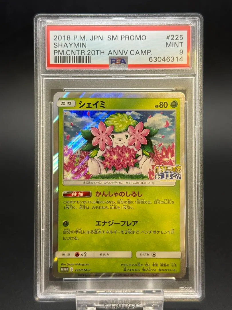 2026年最新】シェイミex プロモ psa10の人気アイテム - メルカリ