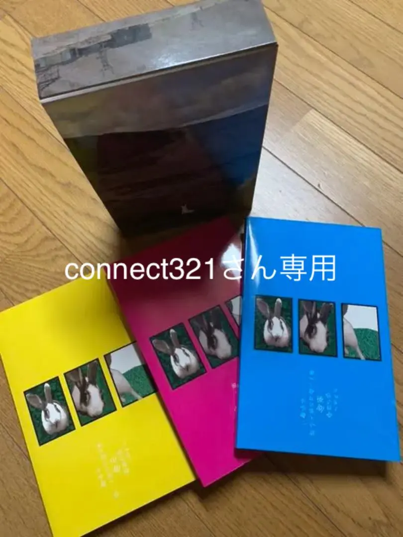 2026年最新】小沢健二 うさぎの人気アイテム - メルカリ