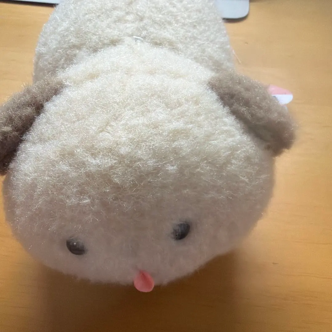 2026年最新】ほわんほわんよろこびの人気アイテム - メルカリ