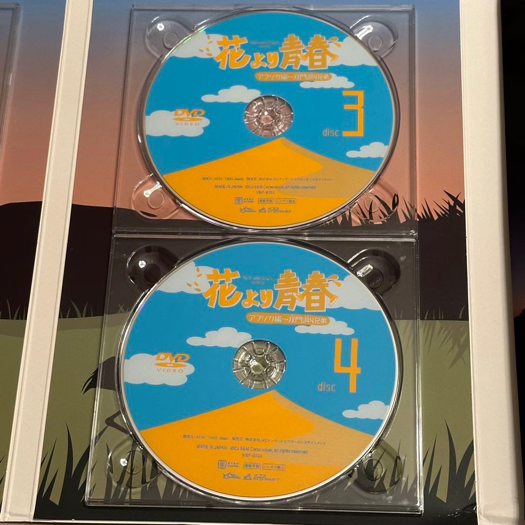 花より青春～アフリカ編 双門洞(サンムンドン)4兄弟 DVD-BOX〈7枚組
