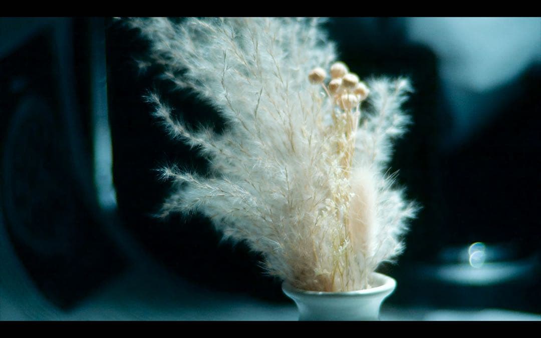 レア？作例有 シネマレンズ Meteor 17-69mm f1.9 m42 - メルカリ