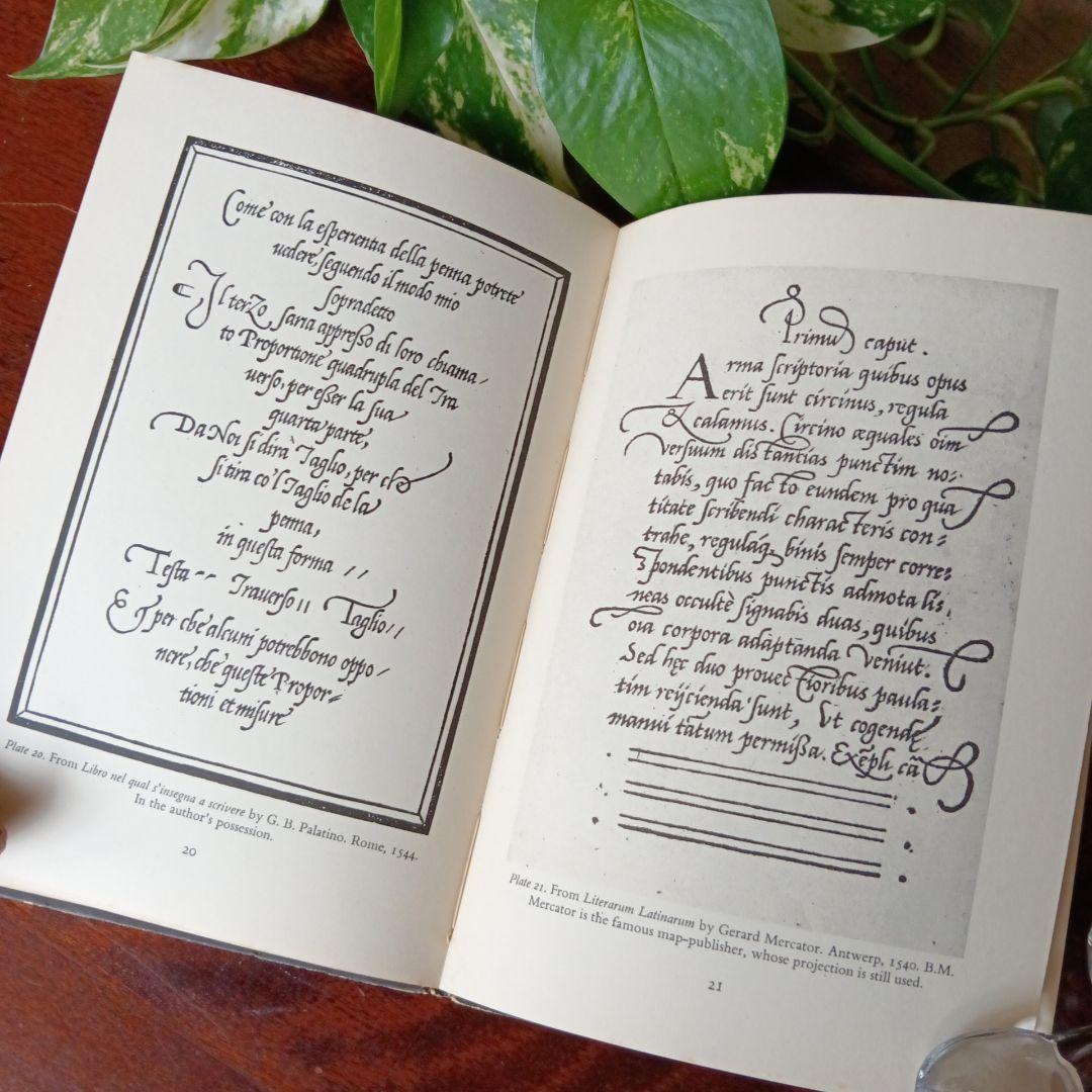 洋書古書1950年 ペンギン文庫 カリグラフィー美しい筆記体