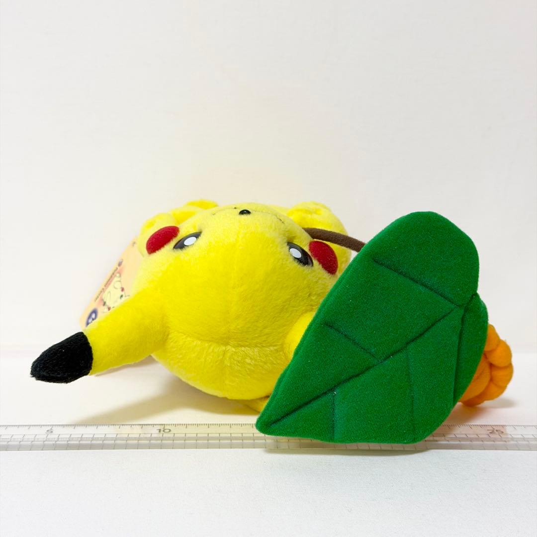 マンスリーピカチュウ 2005年6月ポケモンセンター限定 ポワルン