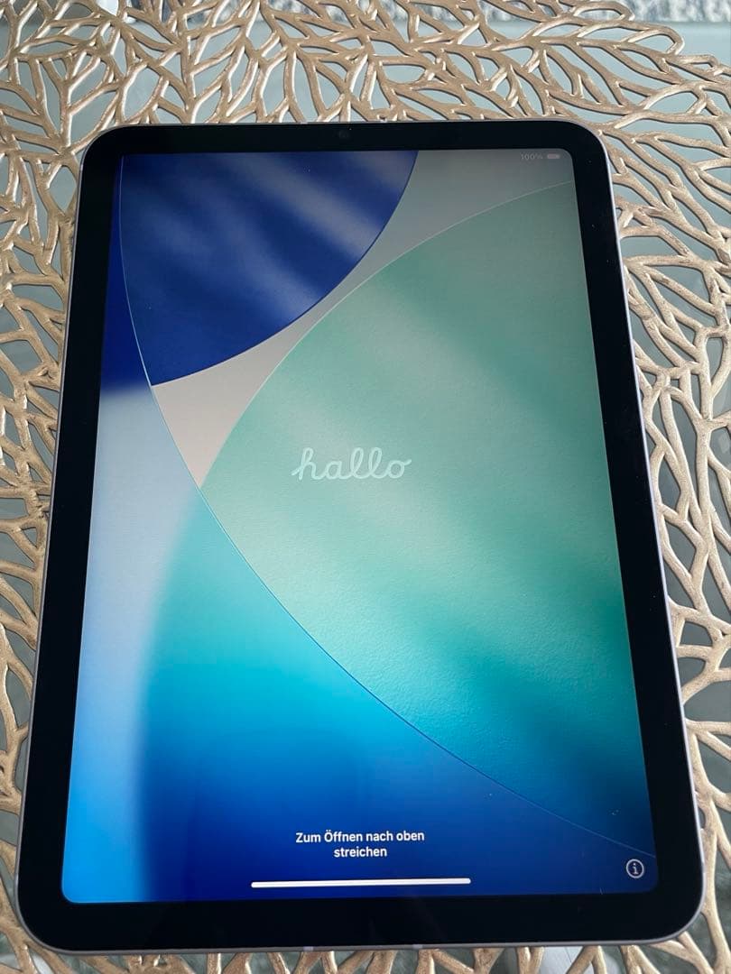 iPad mini 第6世代 256GB Wi-Fi+Cellularジャンク品 - メルカリ