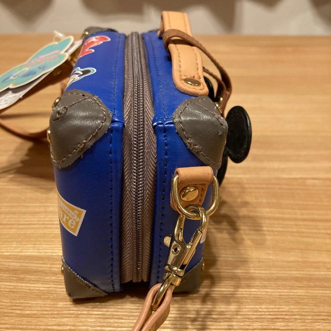 ミッキー＆ダッフィー カメラケース ディズニー スプリングヴォヤッジ