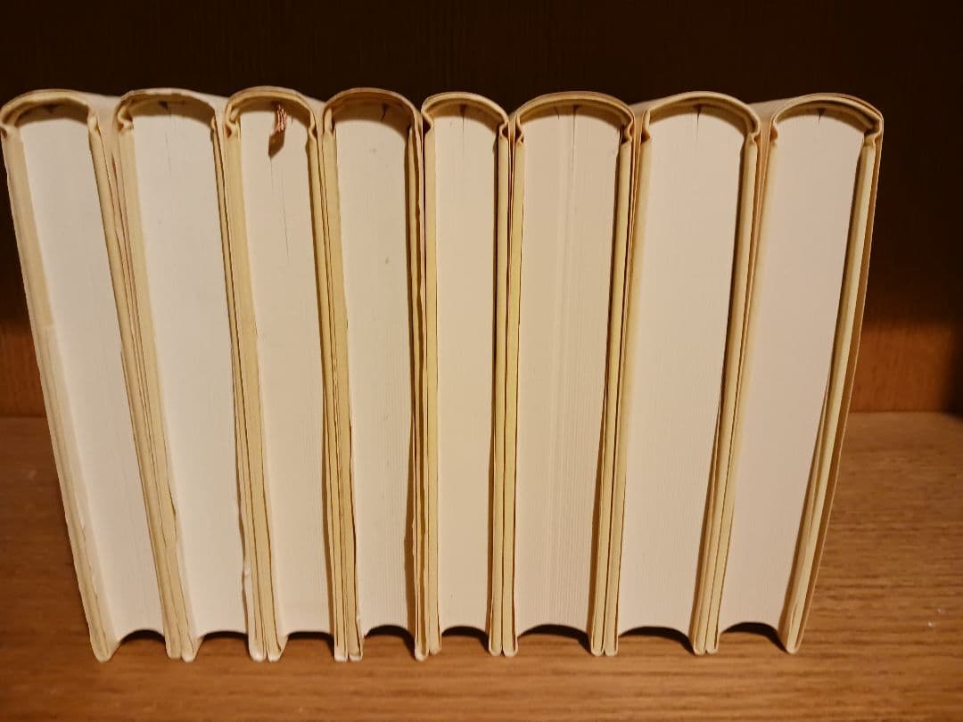 中井久夫著作集 1期2期全巻セット 岩崎学術出版社