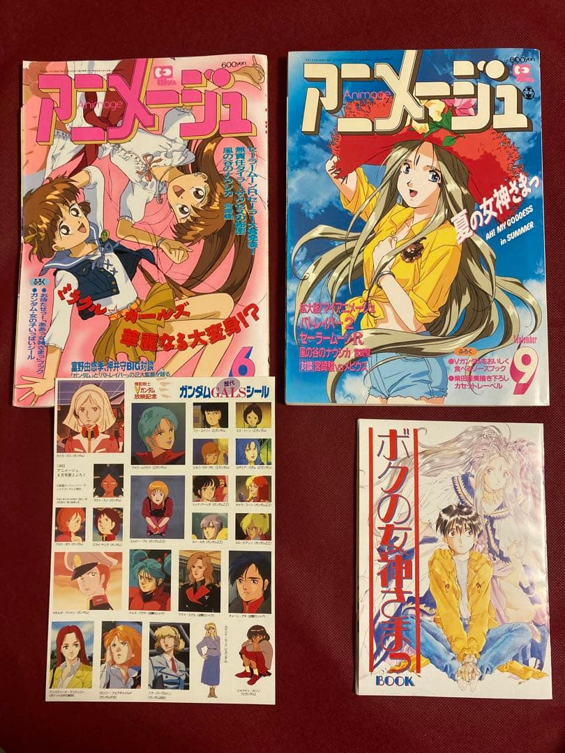 付録付き】 雑誌 アニメージュ 1993年（平成5年）6.9月号 2冊セット