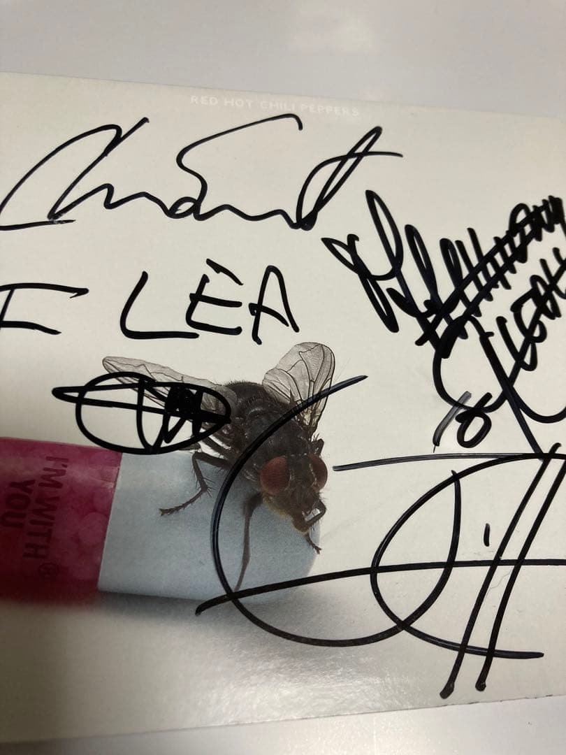 レア レッチリ 直筆 サイン CD red hot chili peppers - メルカリ
