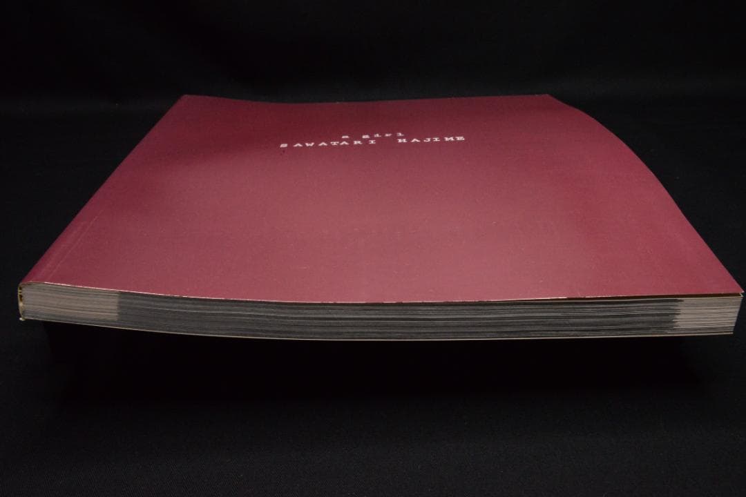 【a girl hysteric no.11】 沢渡朔　★★大幅に値下げしました