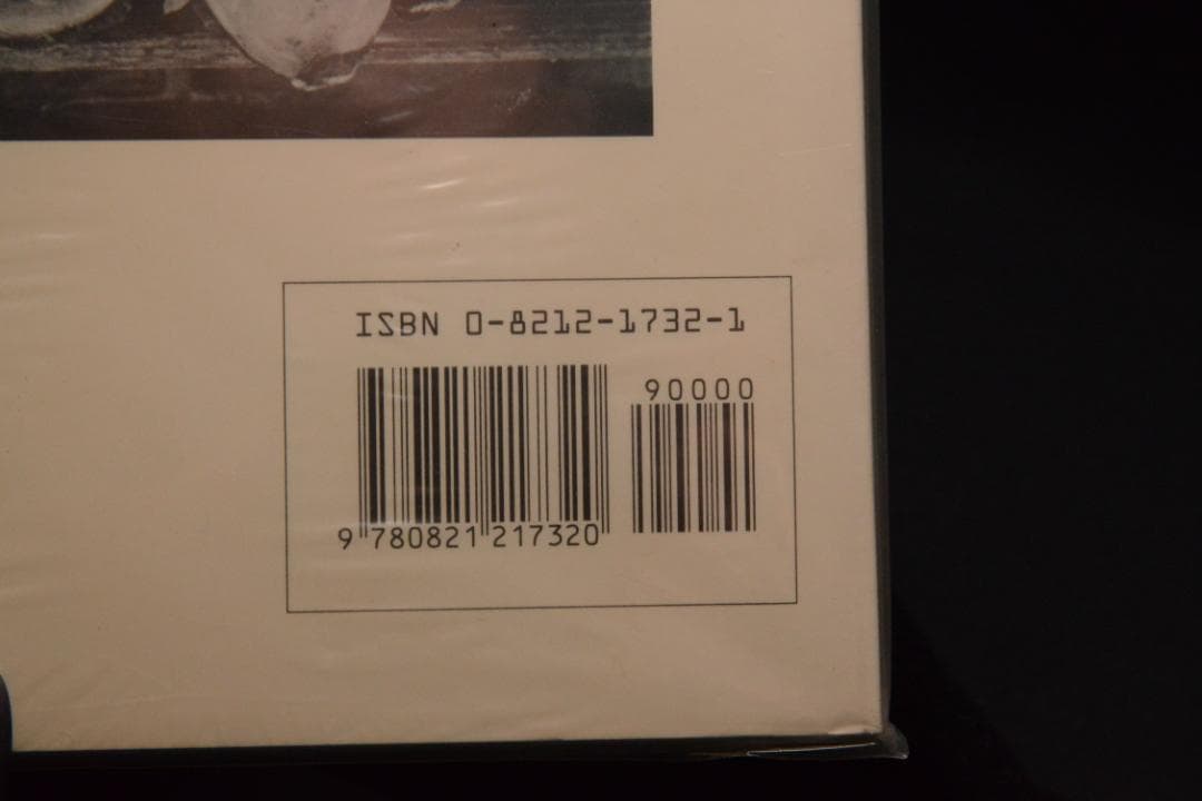 【Revealing Light 】Lilo Raymond　★★値下げしました