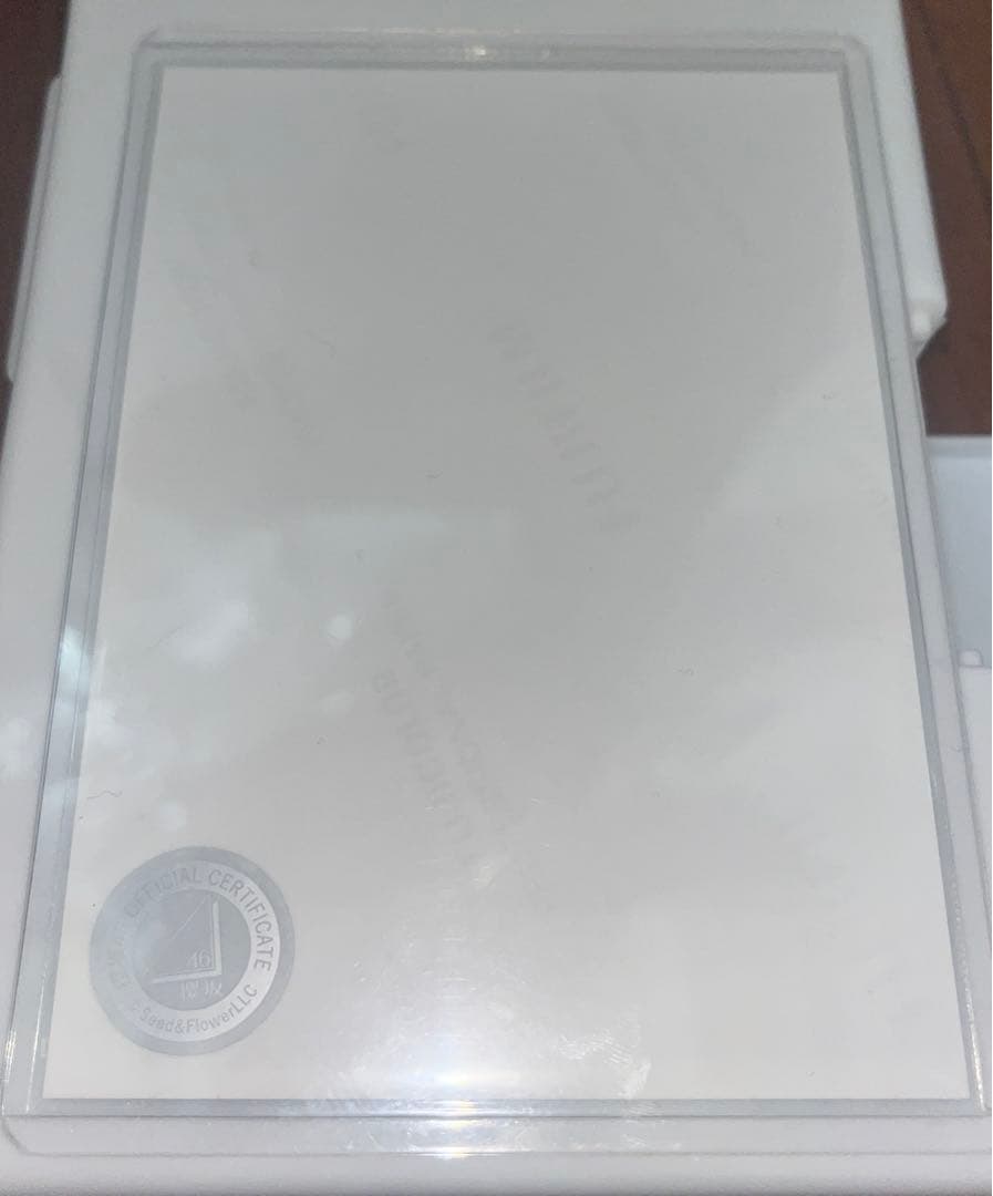 櫻坂46 山﨑天 3rdアニラ 直筆 生写真 ヨリ