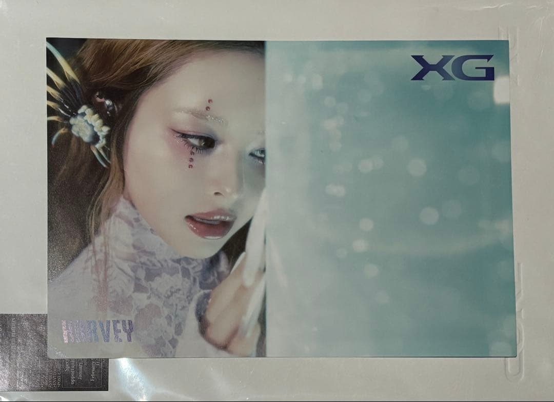 XG THE CORE 核 ハーヴィー タワレコ渋谷限定 フライヤー - メルカリ