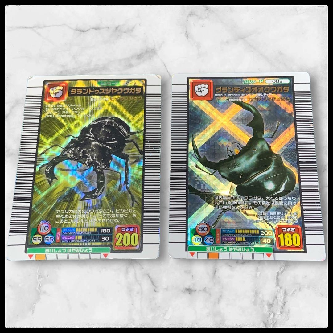 ムシキングカード タランドゥスツヤクワガタ・グランディス