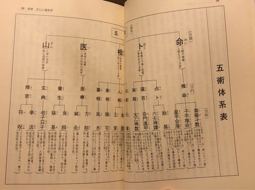 中国正統 五術占い全書 + 別冊図表 2冊セット 張耀文・佐藤六龍 文研