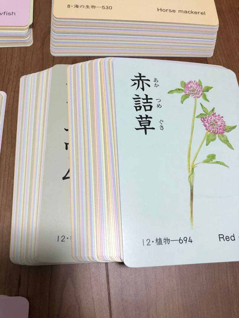 家庭保育園 絵カード フラッシュカード - メルカリ