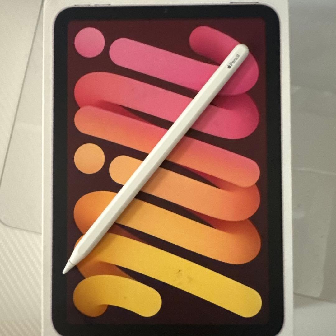 極美品 iPad mini セルラー5G対応 256GB Aペンセット100%