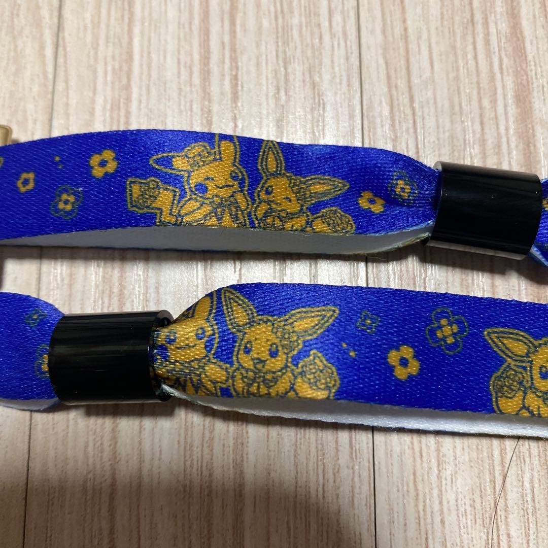 ポケパークカントー エリートトレーナーズパス 特典セット ＋おまけ