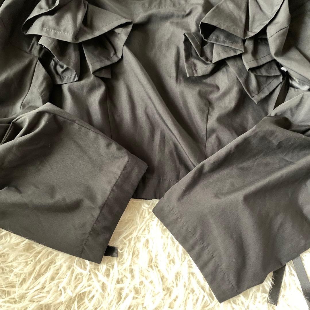 Ray BEAMS 【別注】MIYAO / フリル ブラウス 黒 - メルカリ