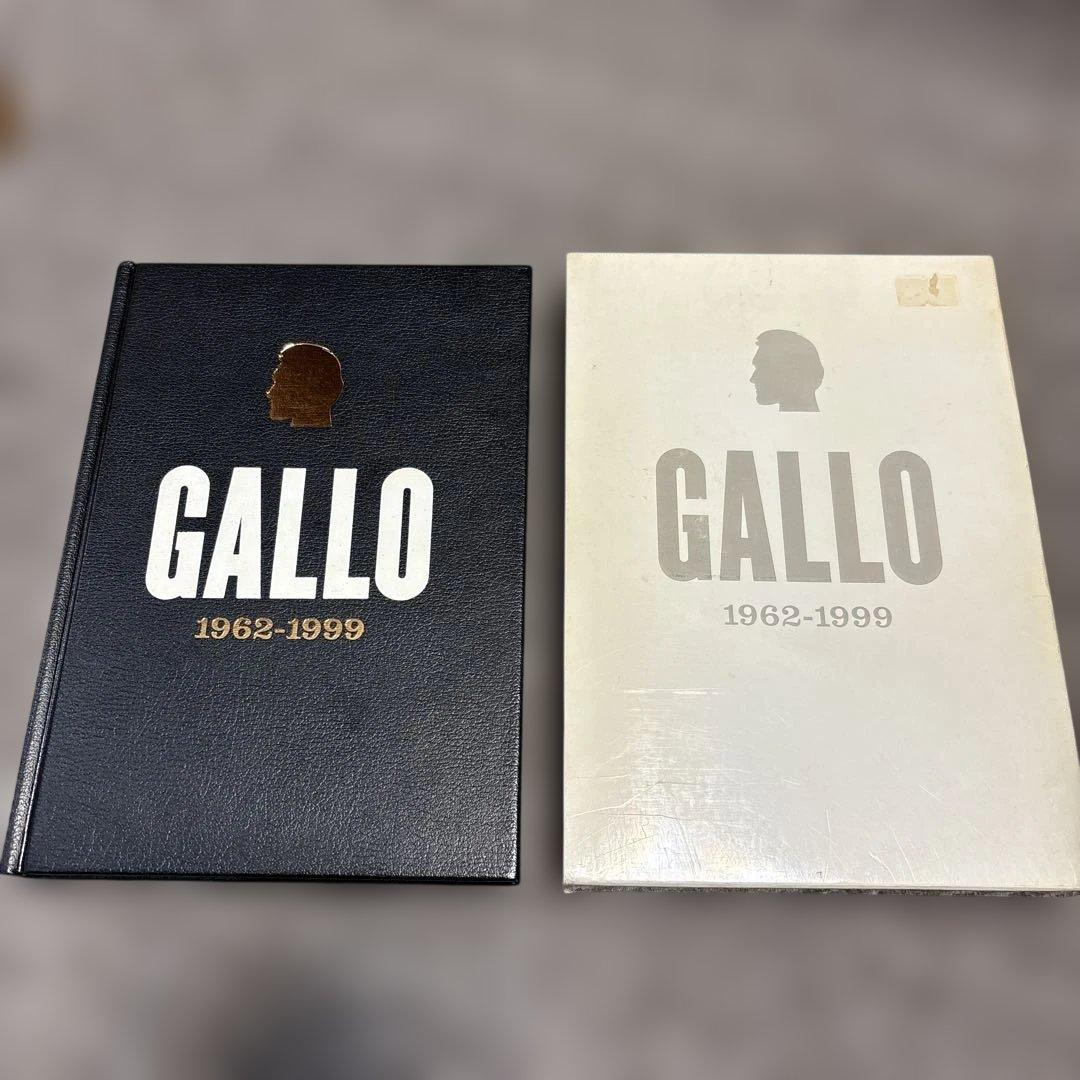 J5/ Vincent Gallo 1962-1999 ヴィンセント•ギャロ Vincent Gallo 1962-1999 - Vincent Gallo