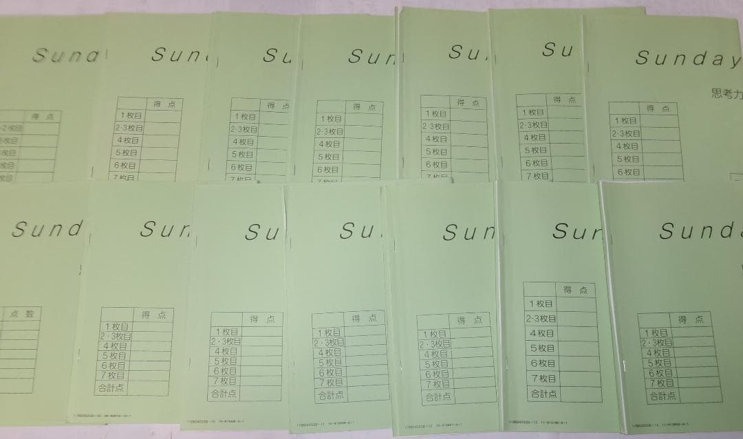 サピックス＊SS特訓＊６年 算数＊思考力講座 １４回完全版／テキスト＋実力テスト サピックス 6年 算数 SS特訓思考力講座14回/実力テスト14回 SAPIX