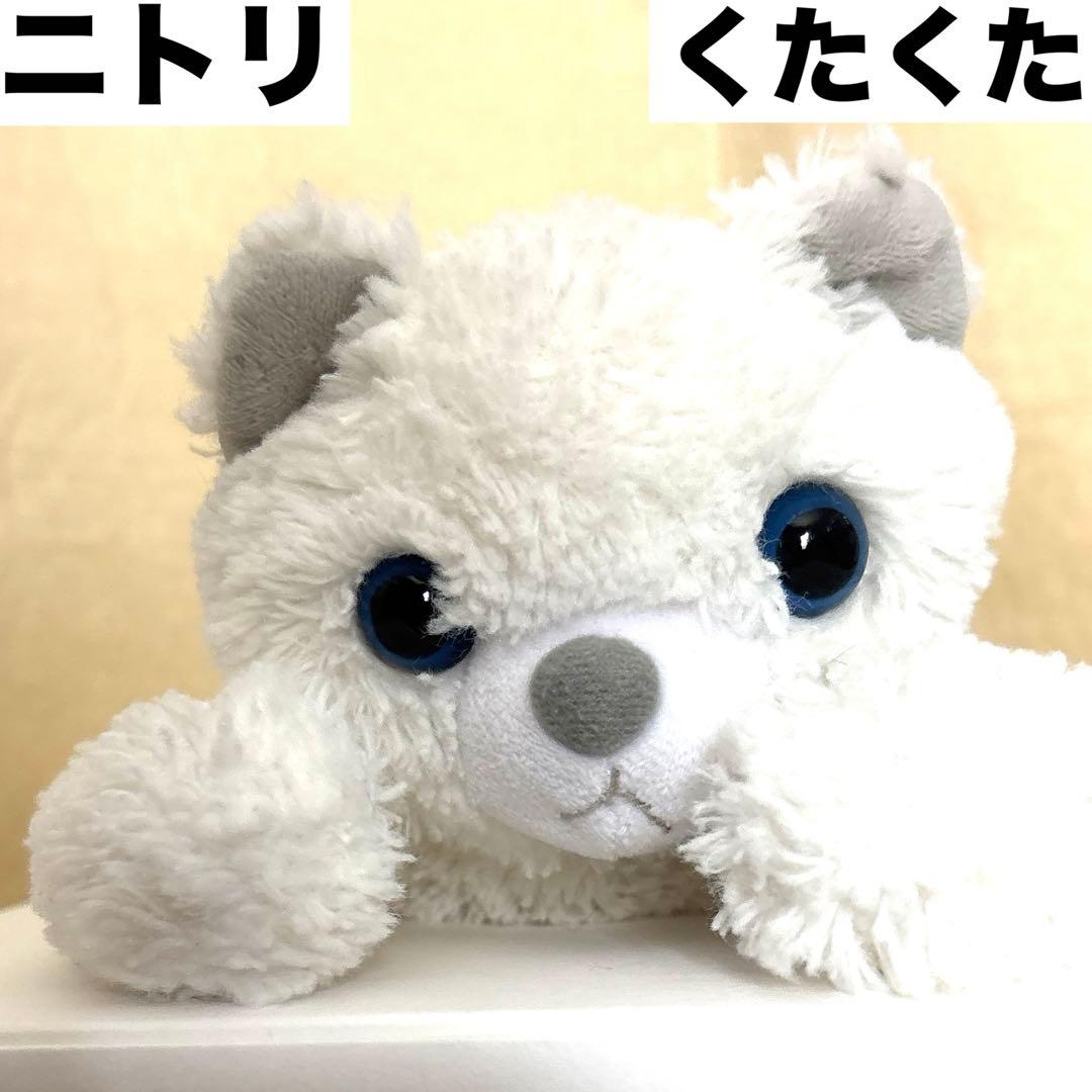 ニトリ くたくた ぬいぐるみ 猫 ネコ ねこ にゃんこ 白猫 しろねこ