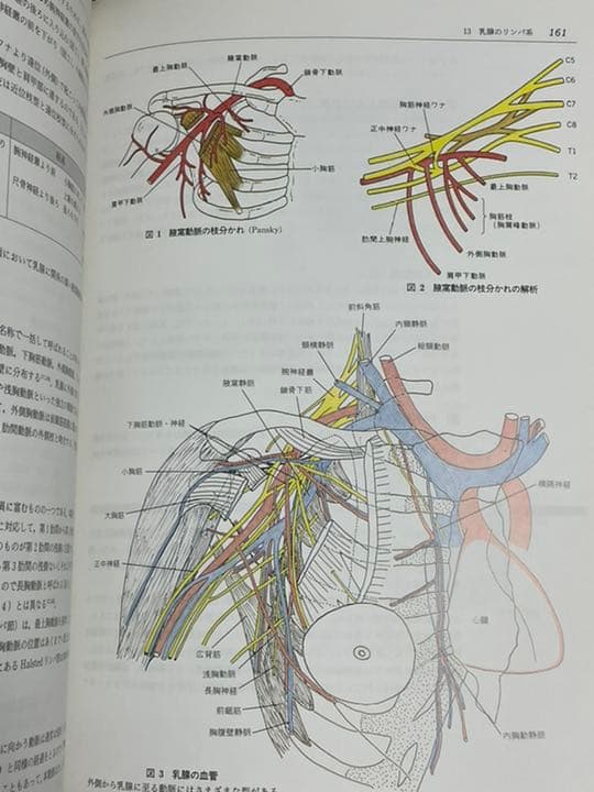 リンパ系局所解剖カラーアトラス 癌手術の解剖学的基盤 - メルカリ