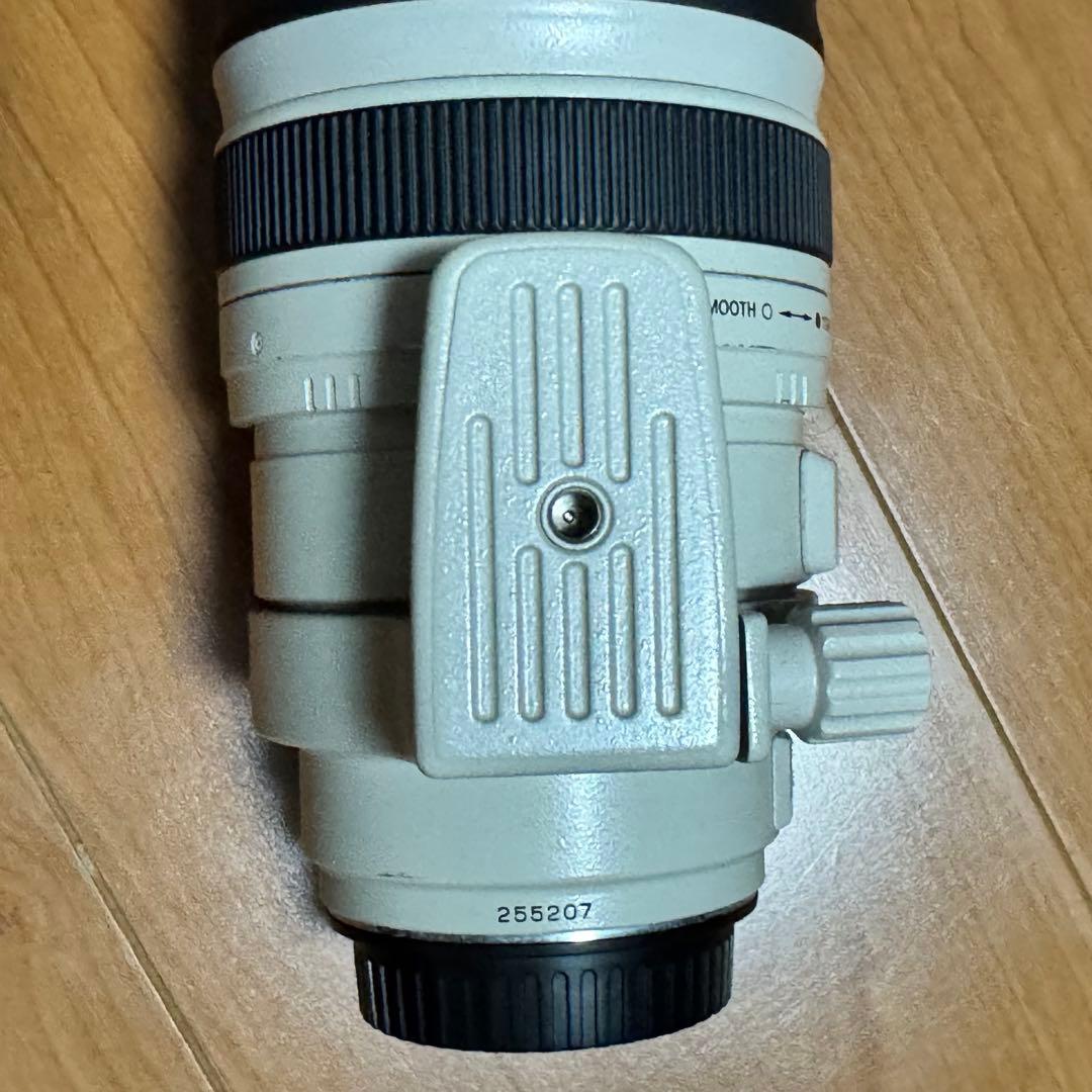 望遠 Canon EF 100-400mm F/4.5-5.6 L IS USM