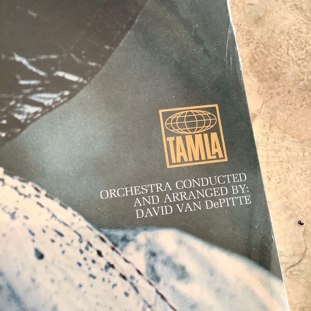 激レア新品未開封! マービンゲイ 2009年US限定重量盤 ホワッツ・ゴーイング